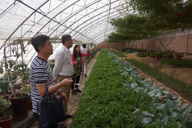 我公司領(lǐng)導(dǎo)一行赴北京、壽光考察學(xué)習(xí)現(xiàn)代農(nóng)業(yè)