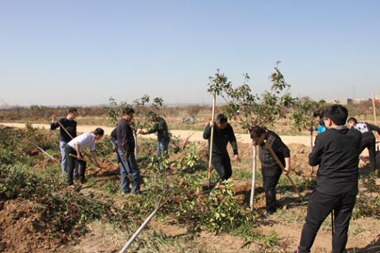 基泰集團(tuán)與涇河新城水務(wù)局聯(lián)合開展春季植樹活動(dòng)