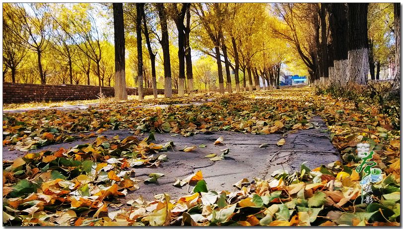 對于工作，你帶著情懷了嗎？