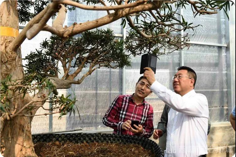 張宏偉蒞臨基泰集團檢查指導工作