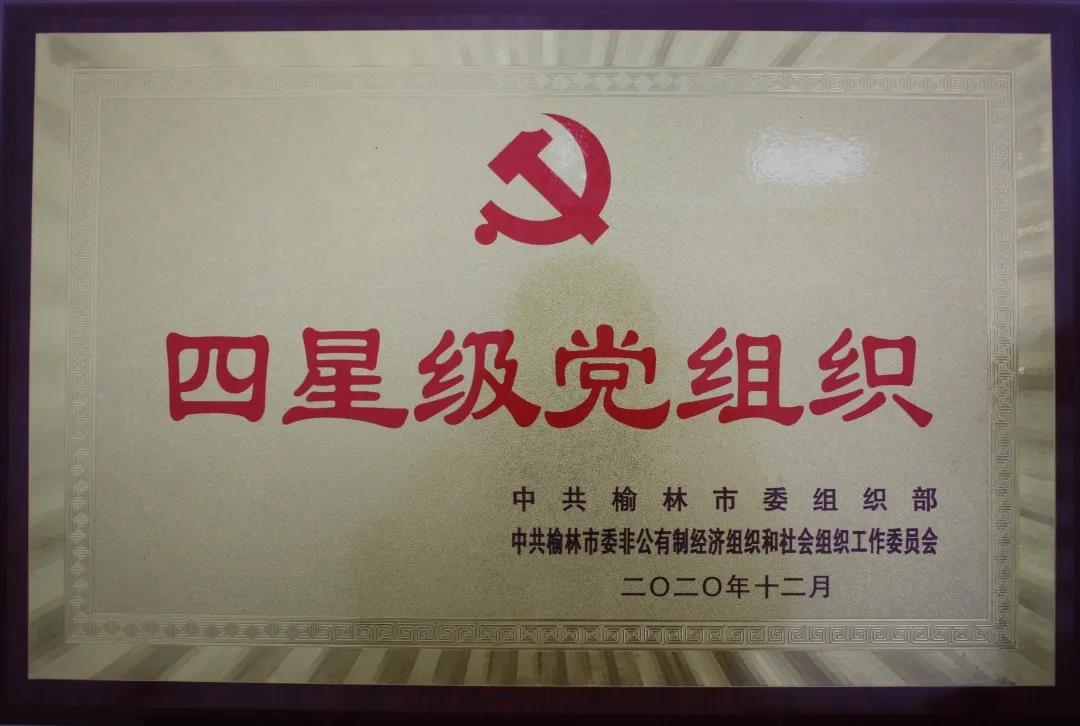 建設公司黨支部榮獲 “四星級黨組織” 榮譽稱號