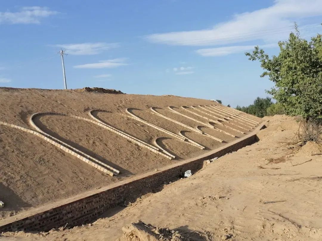 最新進展來了！