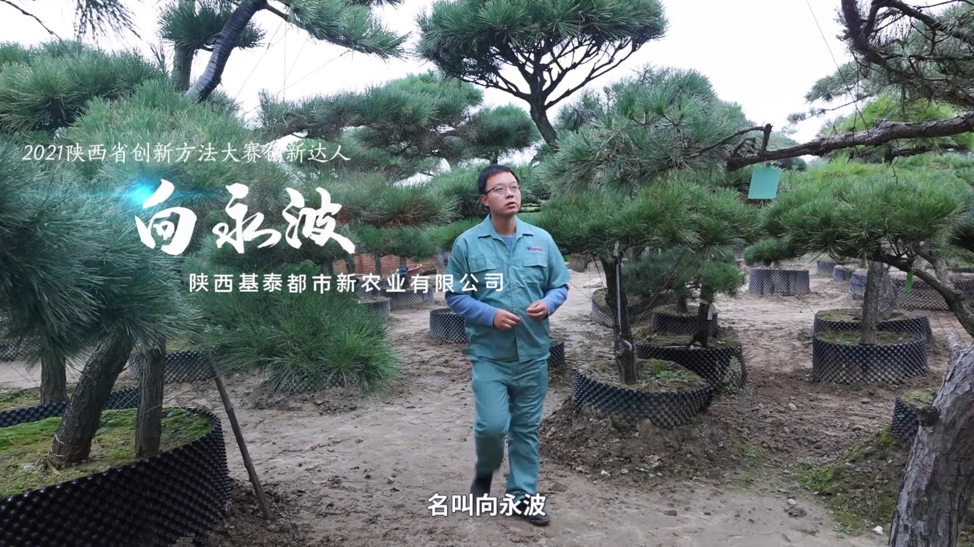 創(chuàng)新達(dá)人！