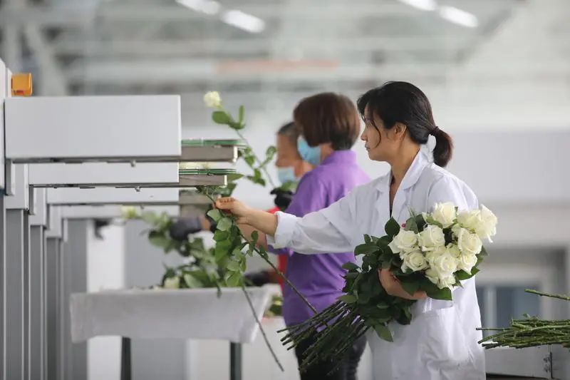 群眾新聞報道基泰園藝！